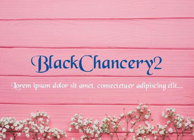 BlackChancery2 example