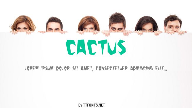 Cactus example