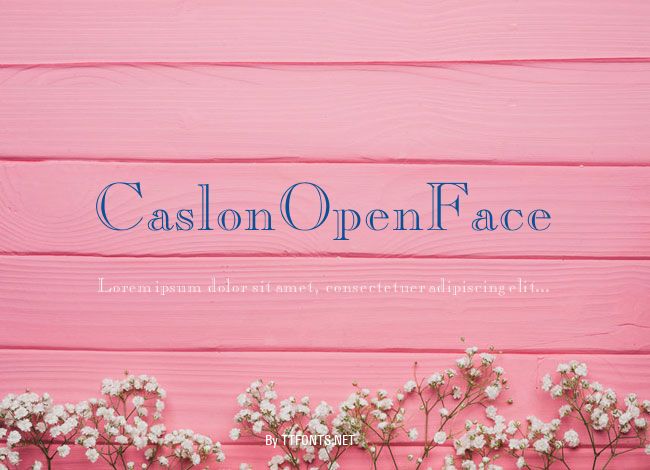 CaslonOpenFace example