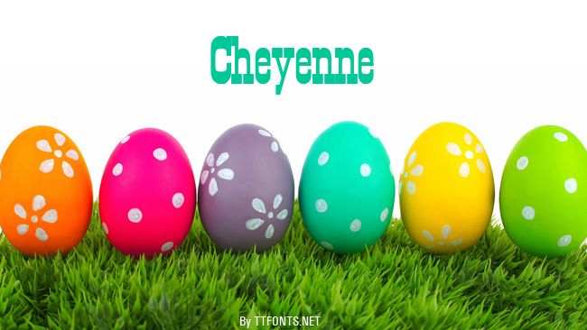 Cheyenne example