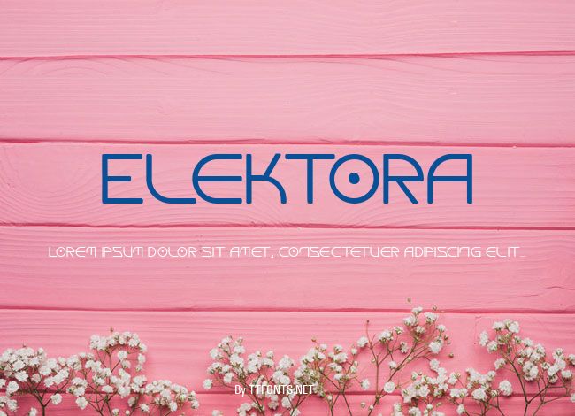 Elektora example