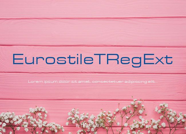 EurostileTRegExt example