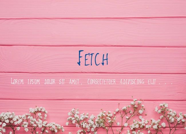 Fetch example