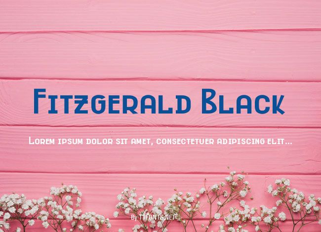 Fitzgerald Black example