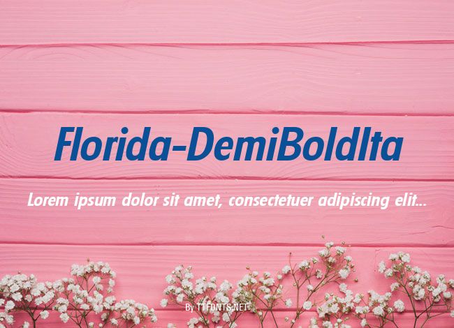 Florida-DemiBoldIta example