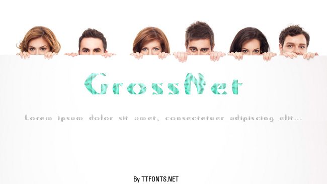GrossNet example
