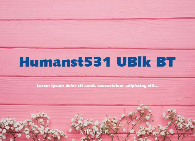 Humanst531 UBlk BT example