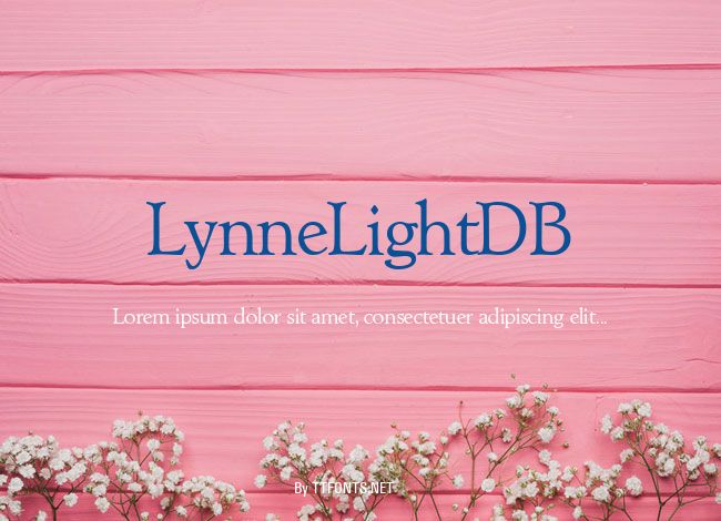 LynneLightDB example