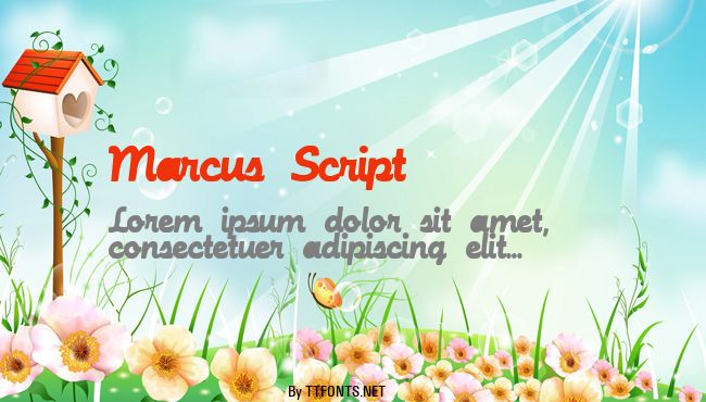 Marcus Script example
