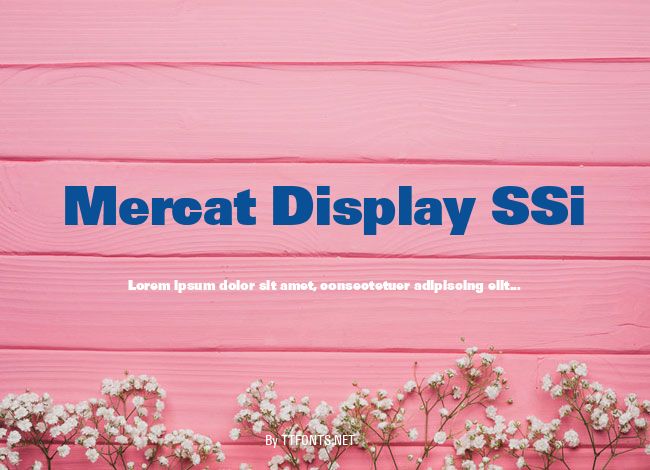 Mercat Display SSi example