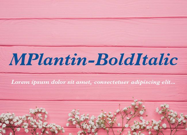 MPlantin-BoldItalic example