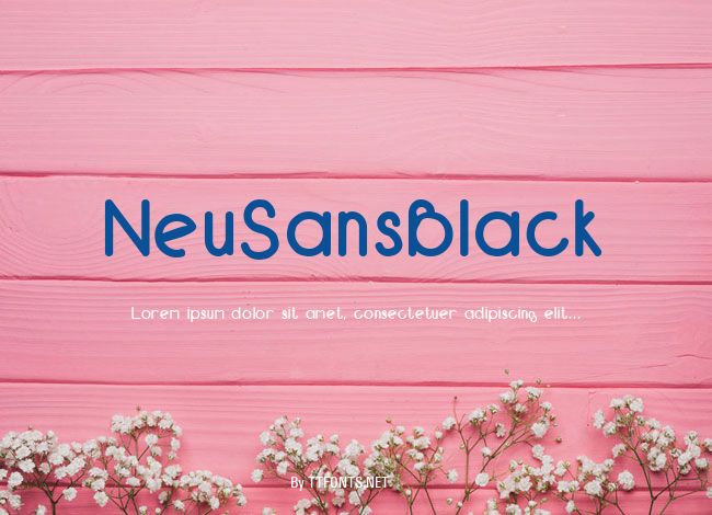 NeuSansBlack example