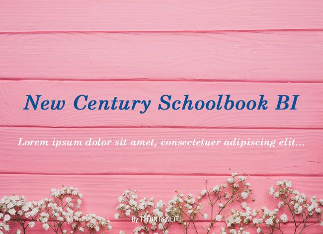 New Century Schoolbook BI example