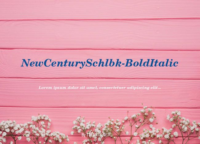 NewCenturySchlbk-BoldItalic example