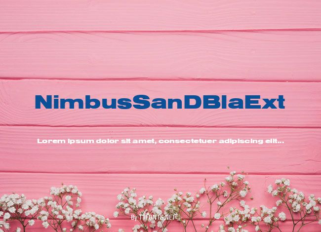 NimbusSanDBlaExt example