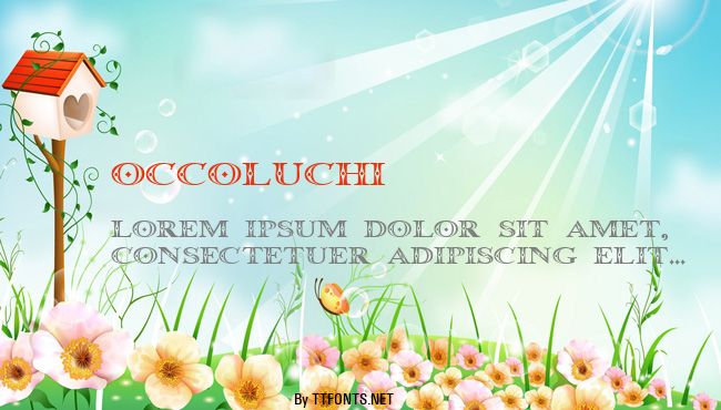 Occoluchi example