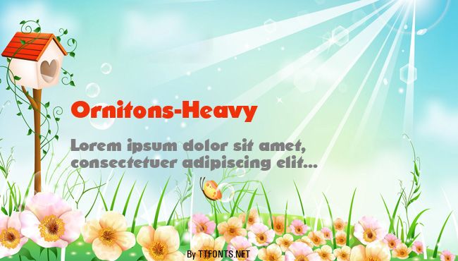 Ornitons-Heavy example