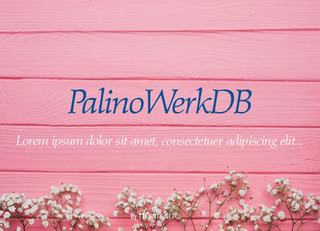 PalinoWerkDB example
