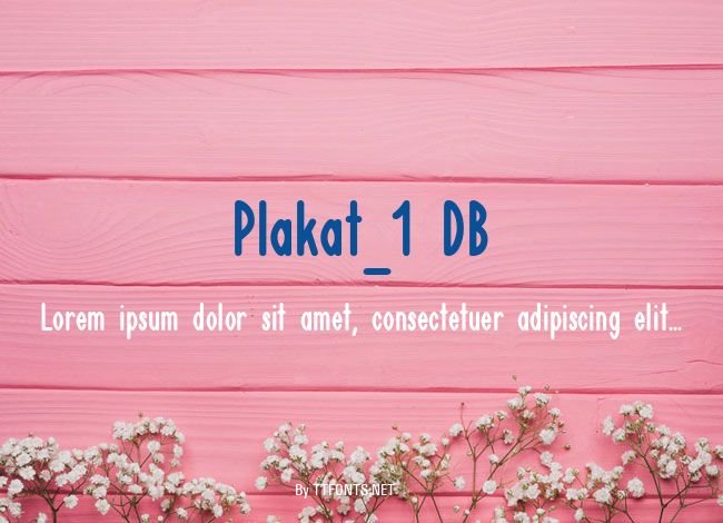 Plakat_1 DB example