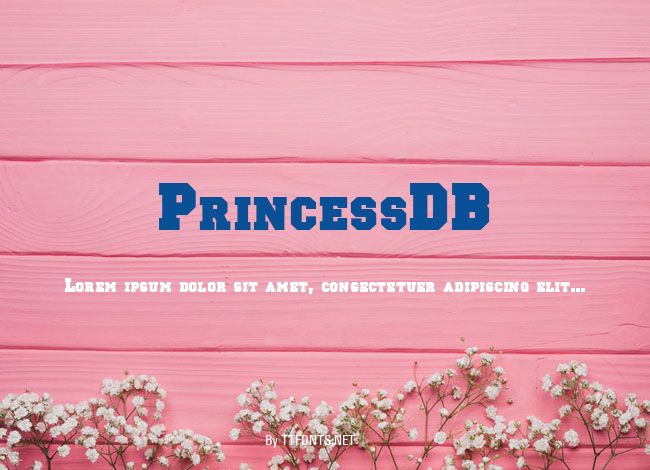 PrincessDB example