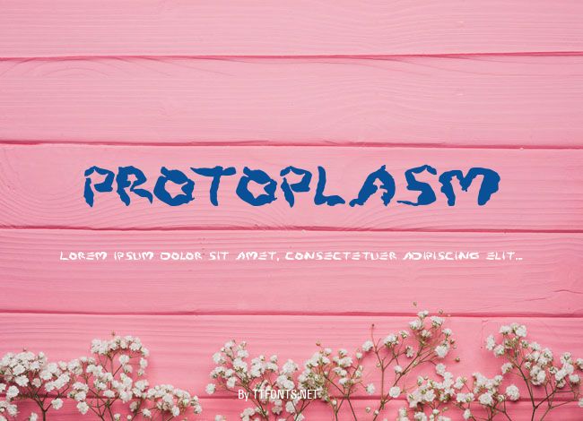 Protoplasm example