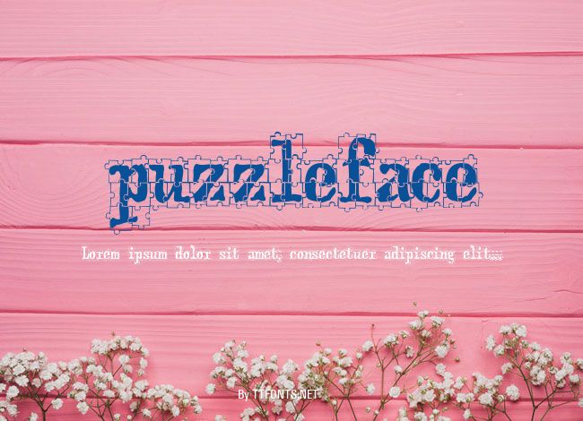 puzzleface example