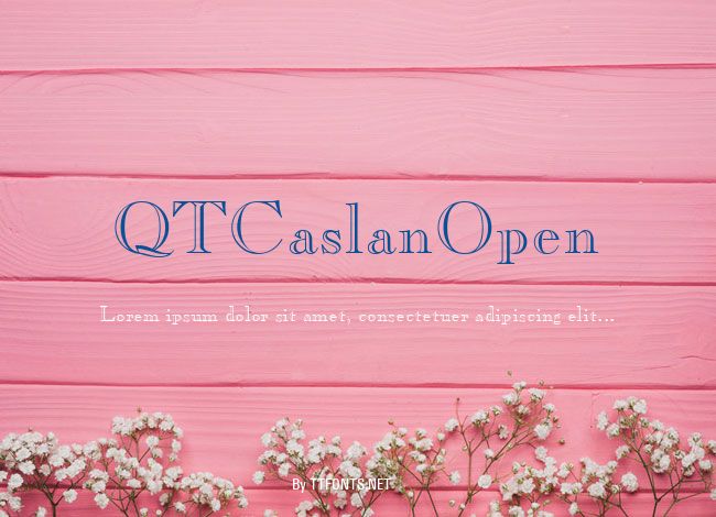 QTCaslanOpen example