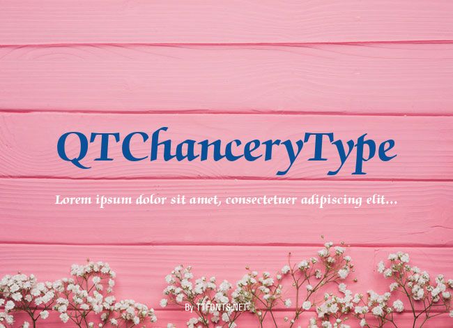 QTChanceryType example