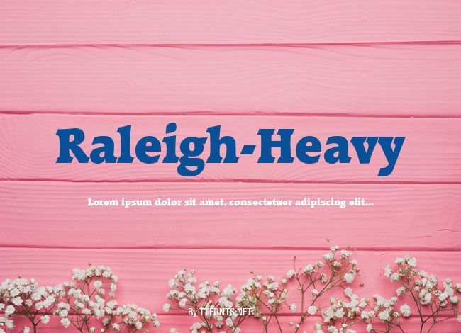 Raleigh-Heavy example