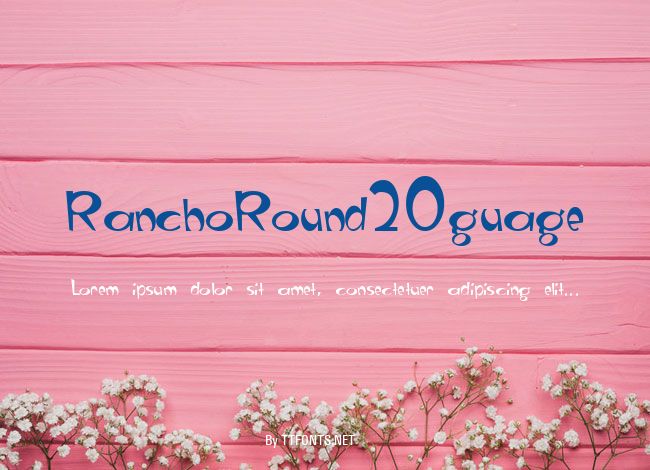 RanchoRound20guage example