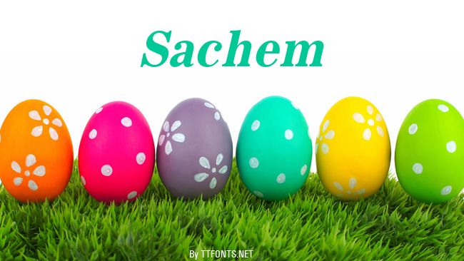 Sachem example