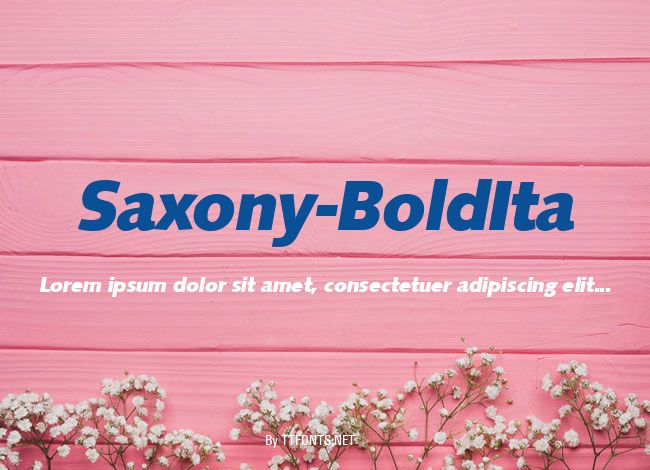 Saxony-BoldIta example