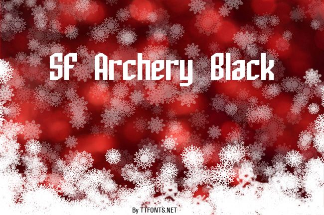 SF Archery Black example
