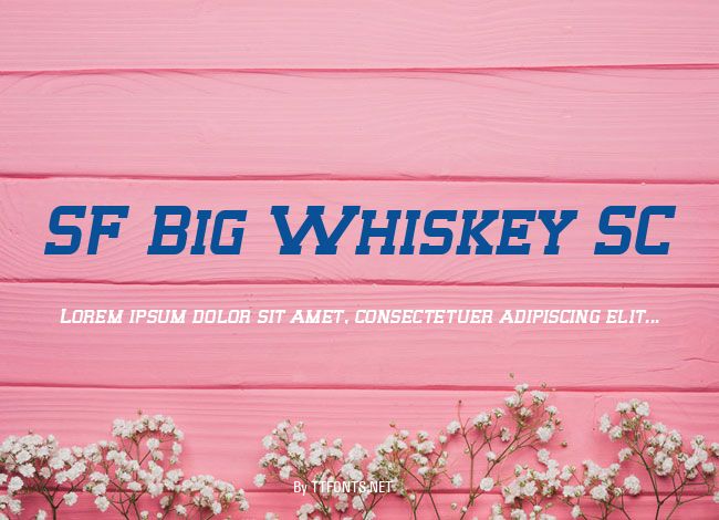 SF Big Whiskey SC example
