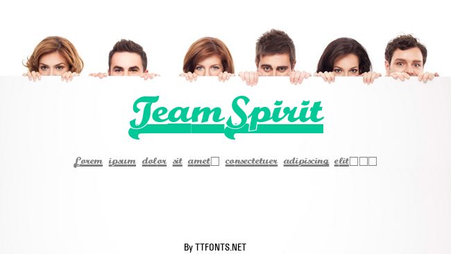 TeamSpirit example