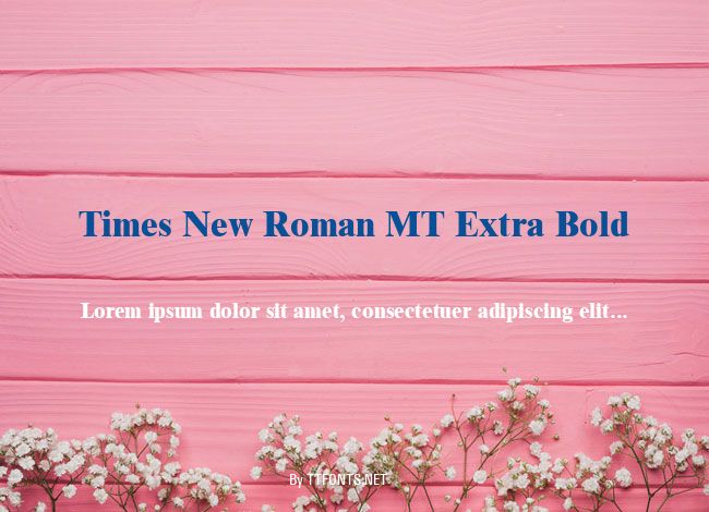 Times New Roman MT Extra Bold example