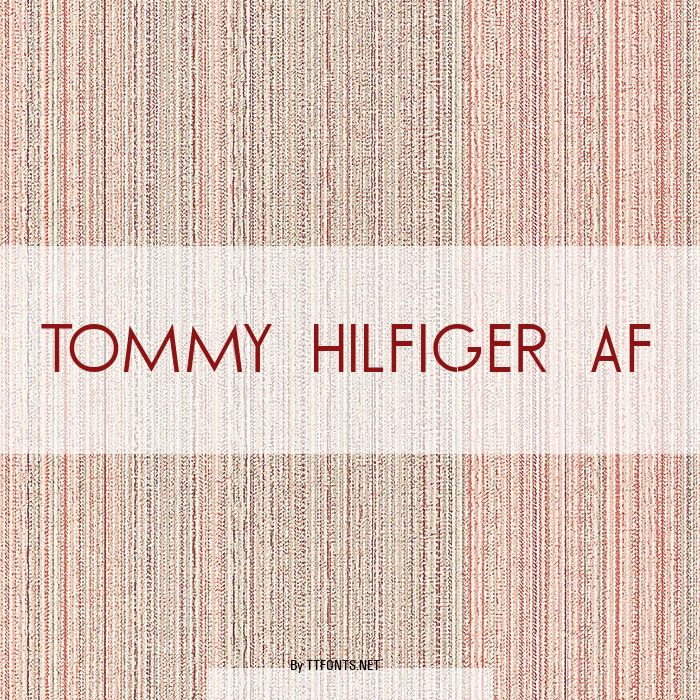 TOMMY HILFIGER AF example