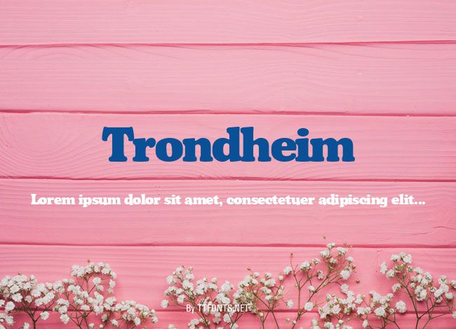 Trondheim example