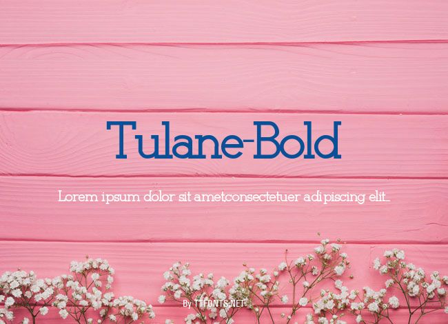 Tulane-Bold example