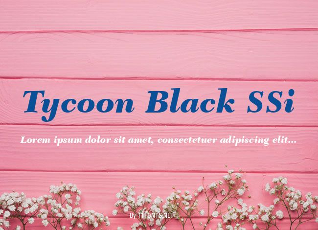 Tycoon Black SSi example