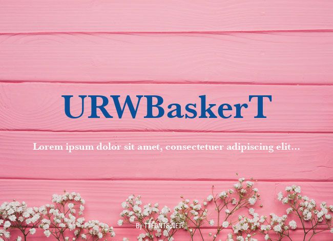 URWBaskerT example