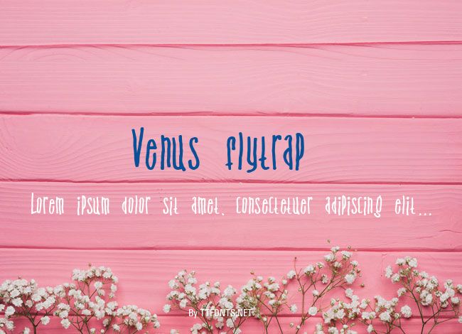 Venus flytrap & the bug example
