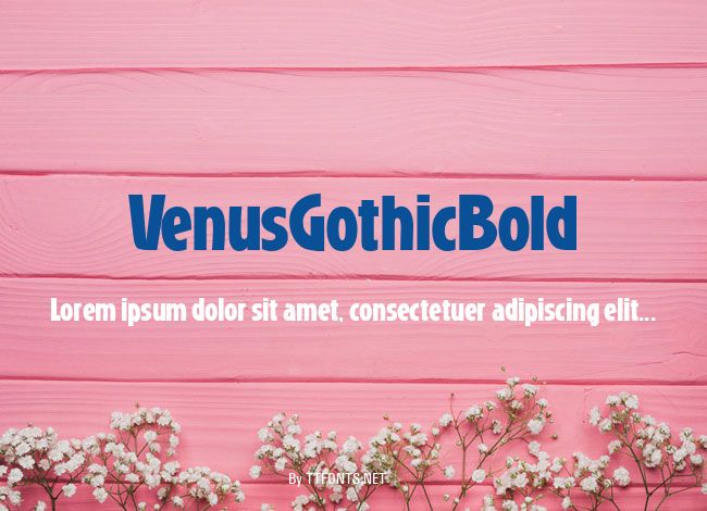 VenusGothicBold example