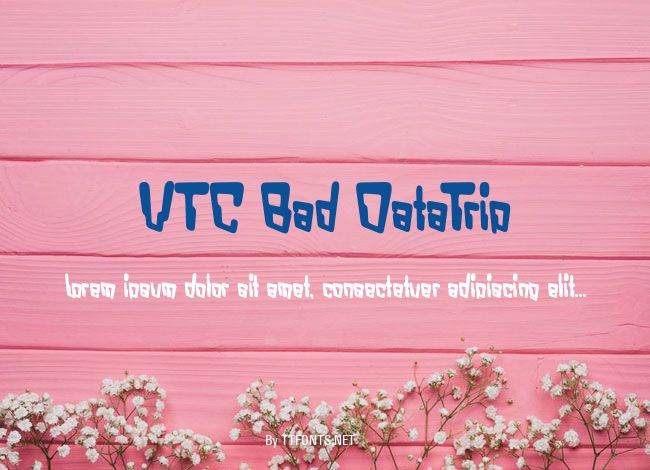 VTC Bad DataTrip example