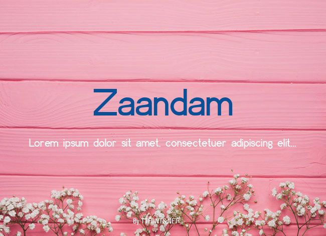 Zaandam example