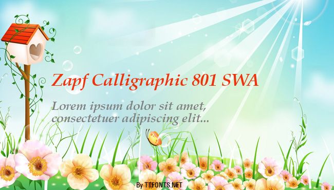 Zapf Calligraphic 801 SWA example