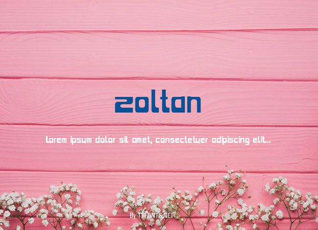 Zoltan example