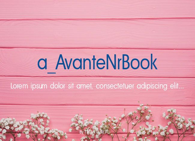 a_AvanteNrBook example