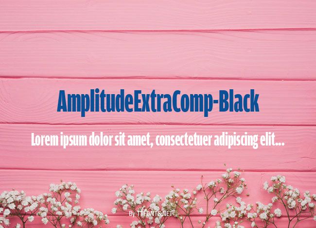 AmplitudeExtraComp-Black example