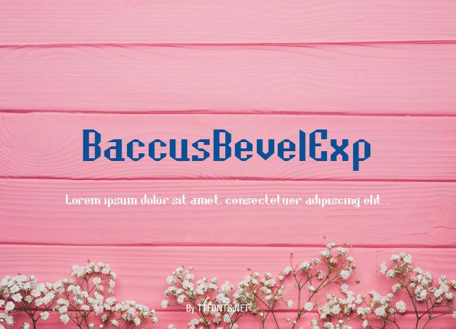 BaccusBevelExp example